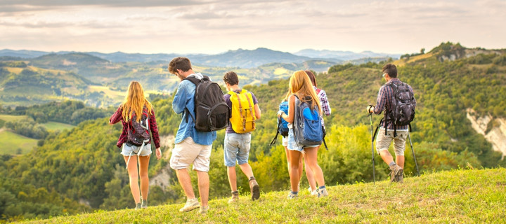 Singh Travel tour packages promo image